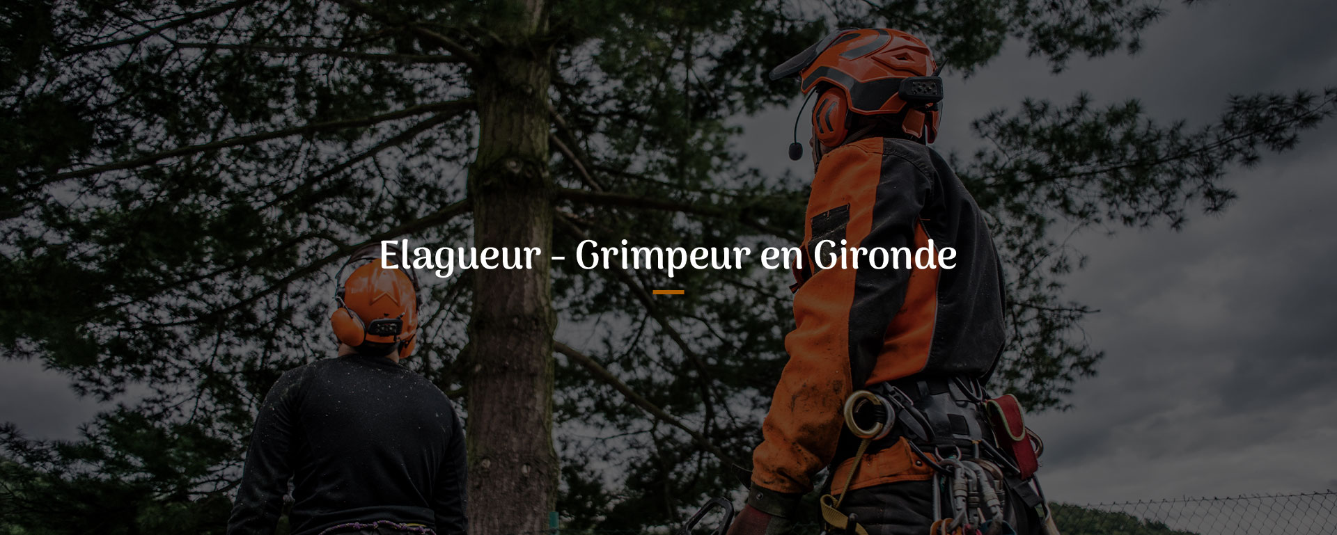 ORIGIN'ARBO Élagueur grimpeur à Bordeaux rive droite - ORIGIN'ARBO