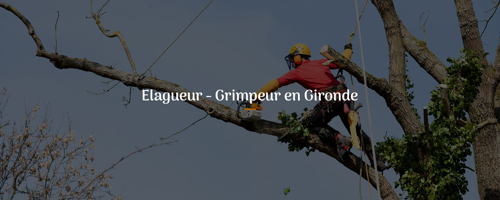 ORIGIN'ARBO Entreprise d'élagage à Bordeaux rive droite - ORIGIN'ARBO