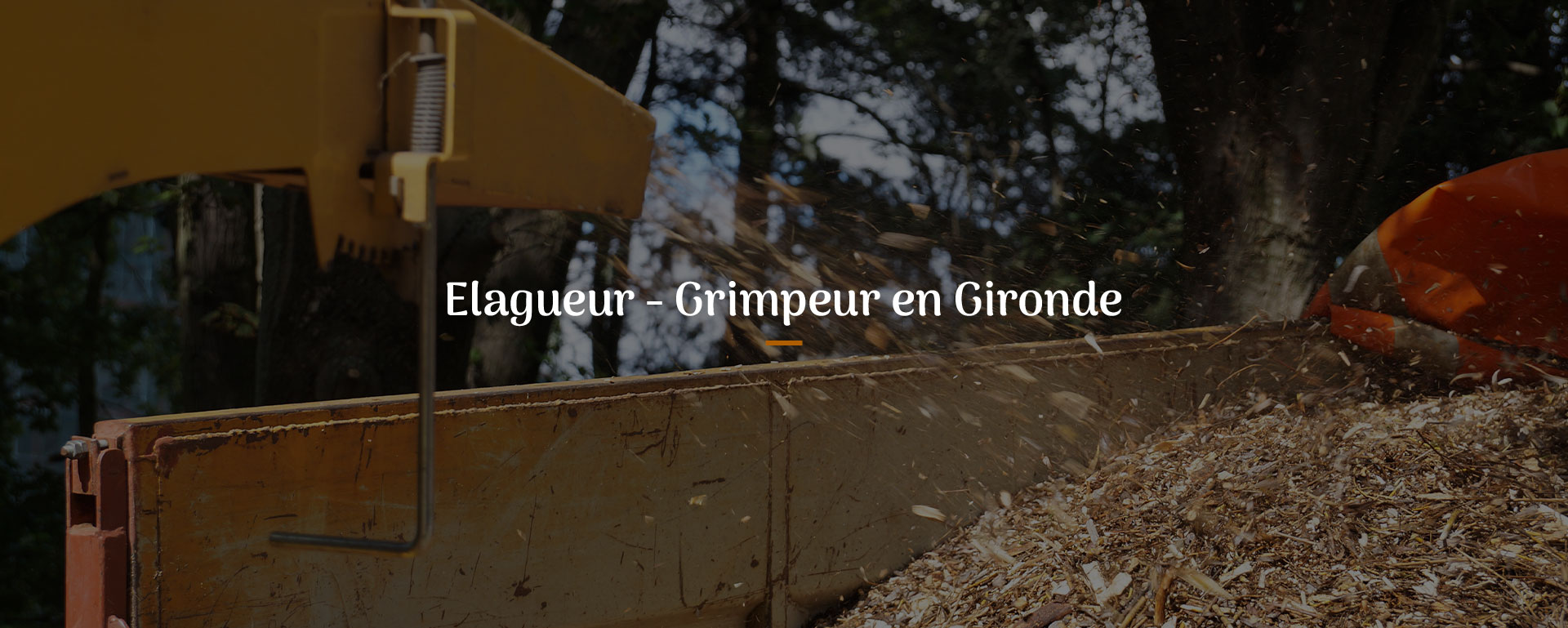 ORIGIN'ARBO Entreprise d'élagage à Bordeaux rive droite - ORIGIN'ARBO